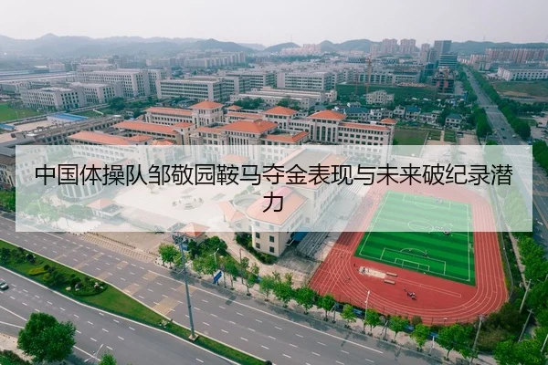 中国体操队邹敬园鞍马夺金表现与未来破纪录潜力